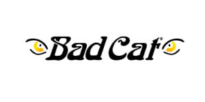 BadCat（バッドキャット）のエフェクター買取