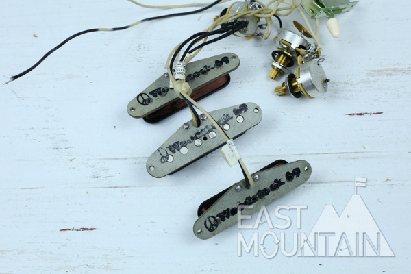 Lindy Fralin Wood stock 69 