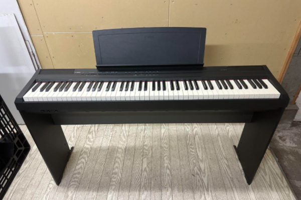YAMAHA P-105 2014N 