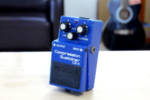 CS-2̎ʐ^