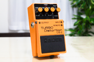 DS-2 {̎ʐ^