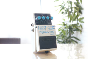 DD-6̎ʐ^