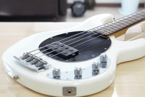Stingray 
