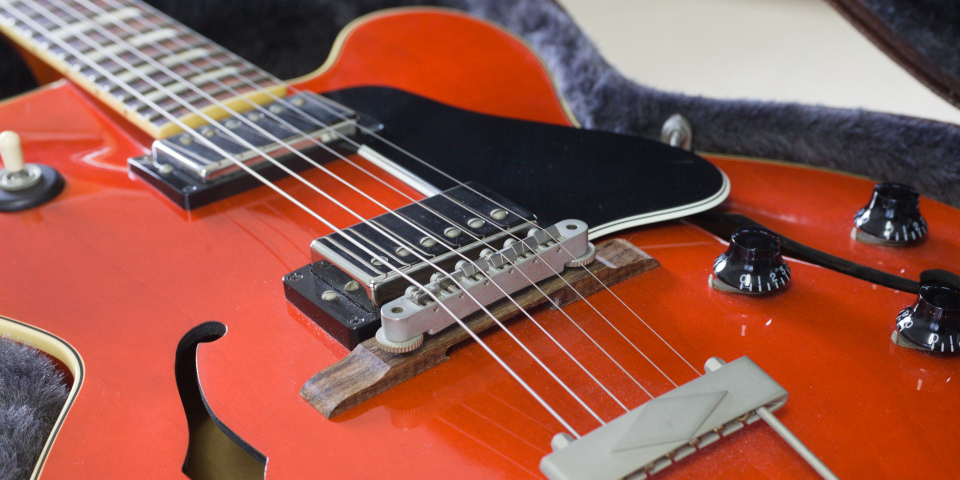 GibsoniMu\j