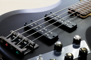 YAMAHA TRBX504̔
