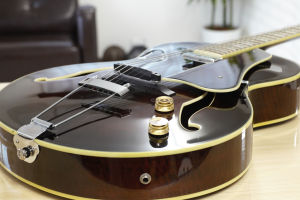 Ibanez AF84E-DVS-12-01̎ʐ^