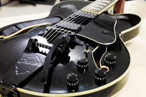 Ibanez Z~AR̎ʐ^