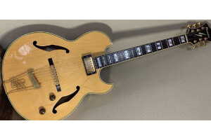 Ibanez PM-100̎ʐ^