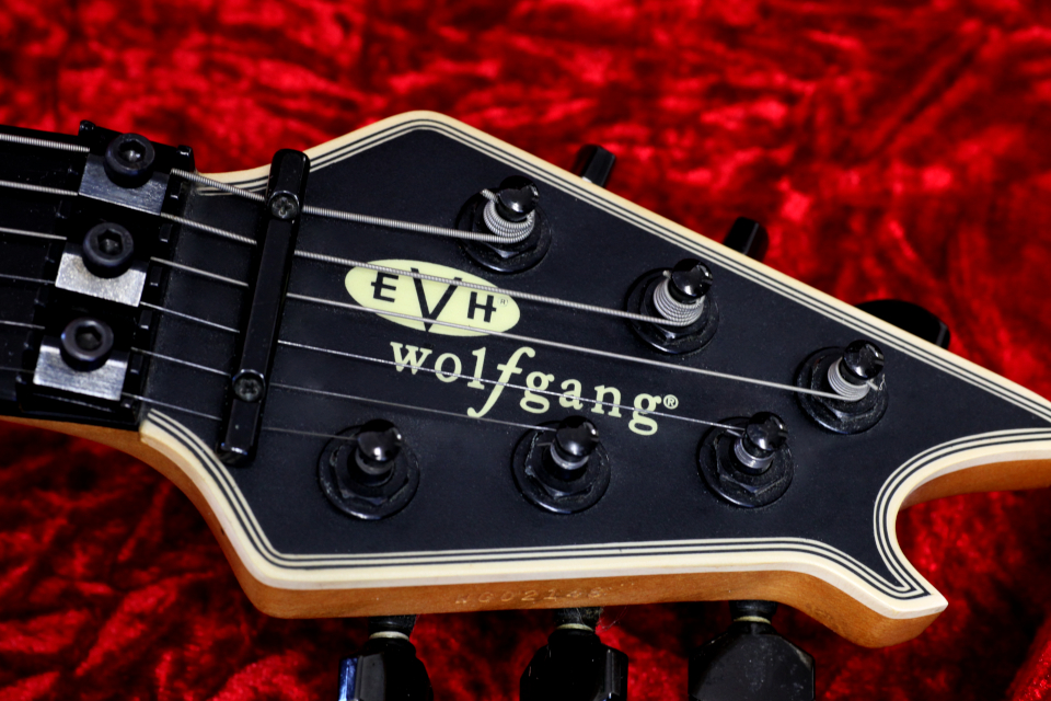 EVH ギター買取