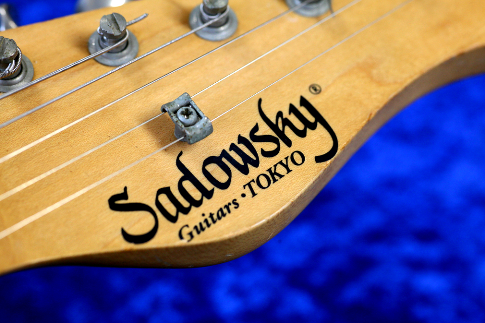 SadowskyiThEXL[j