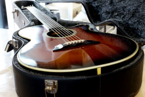 Takamine PT-106̔