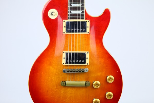 Navigator Les Paulの全体写真 Navigator Les Paulの全体写真