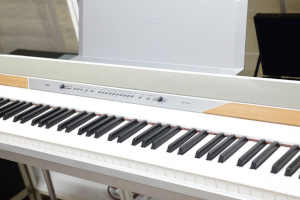 KORG SP-250 dqsAm 