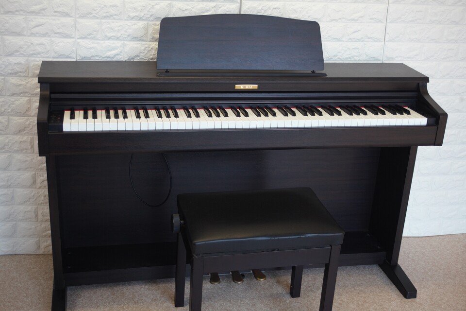 KAWAI CN21R dqsAm 
