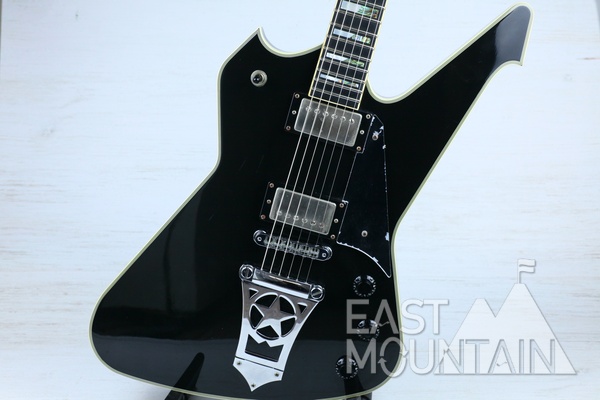 Washburn PS-2000B 