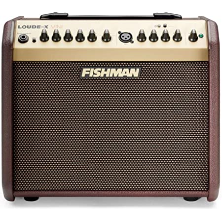 FISHMAN(フィッシュマン)の買取ならイーストマウンテン