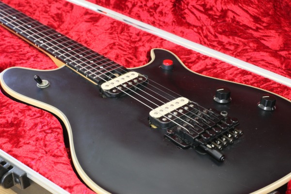 EVH Wolfgang USA 