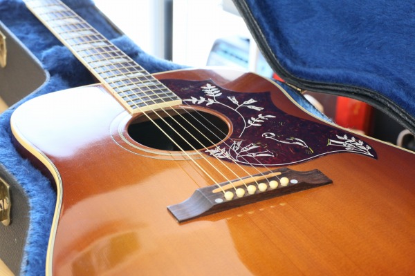 Hummingbird HC 2006 AR[XeBbNM^[ 