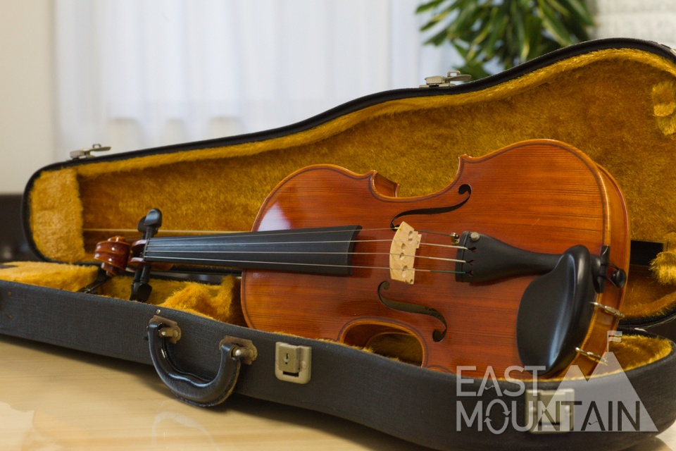 Suzuki Violin No.520 4/4 �������